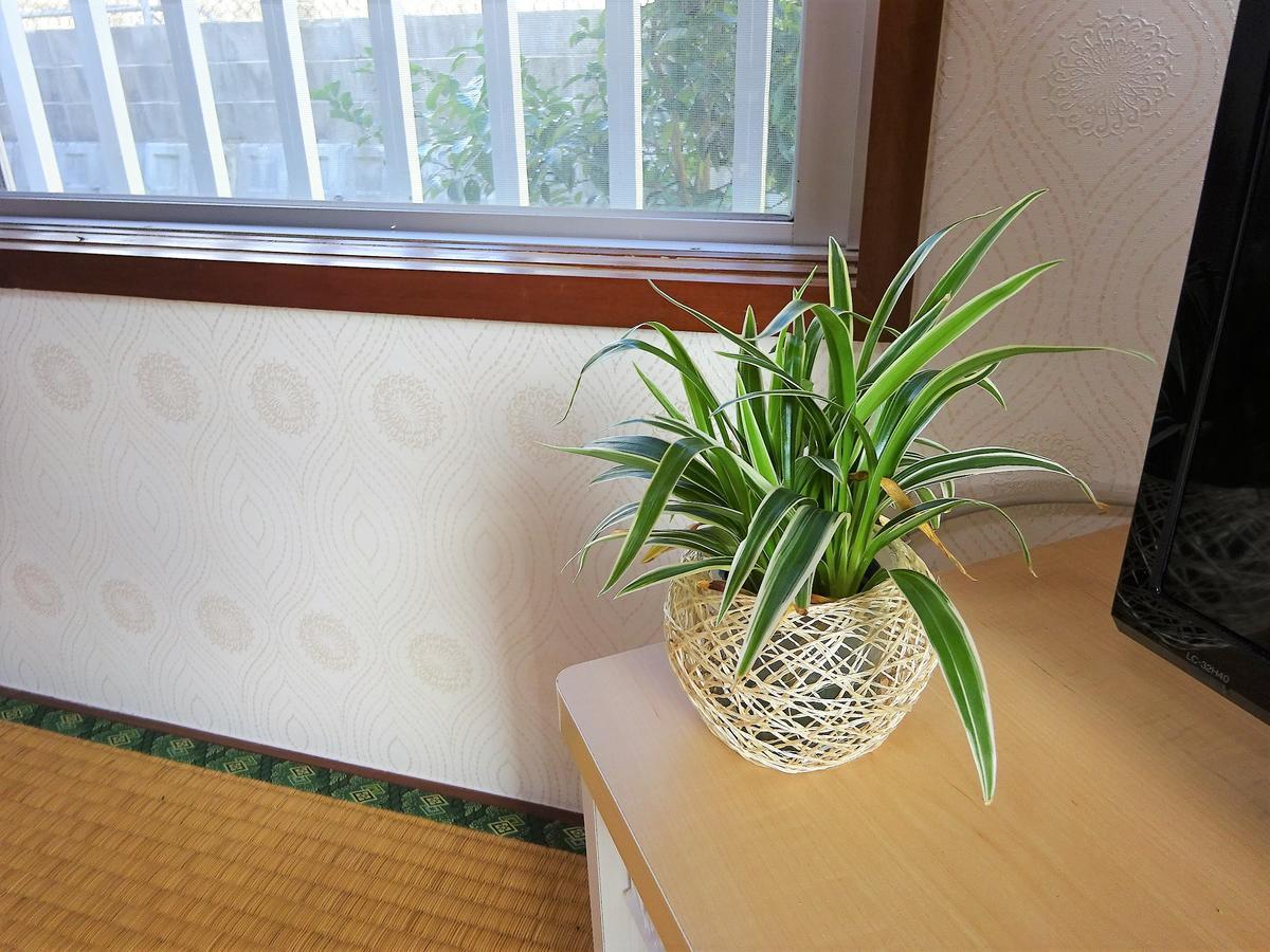 Minshuku Itoman Bettei Goyukkuri Hotel Buitenkant foto