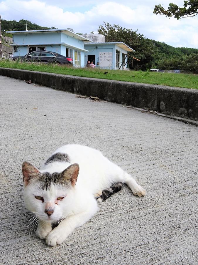 Minshuku Itoman Bettei Goyukkuri Hotel Buitenkant foto